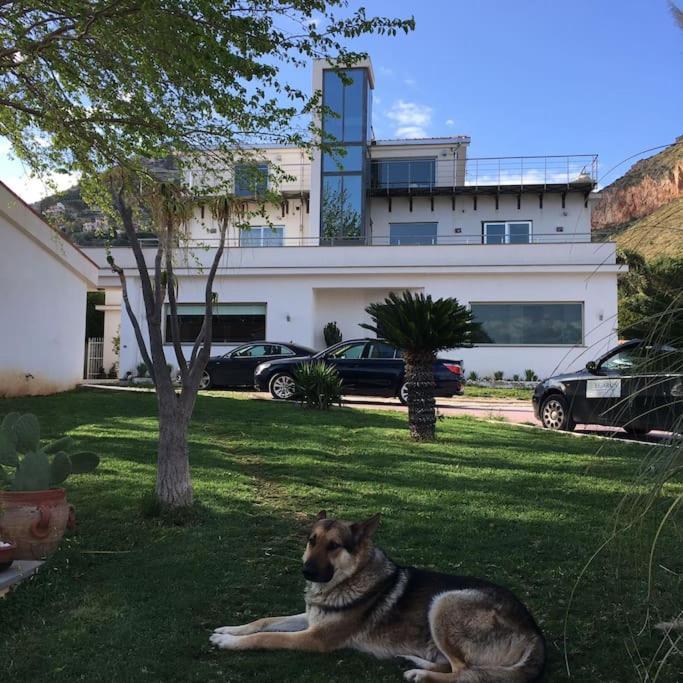 Villa Elloise Palermo Exterior foto